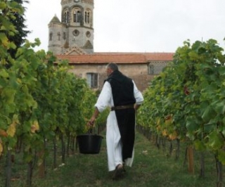  Besuch des Weinbergs in St. Honorat 